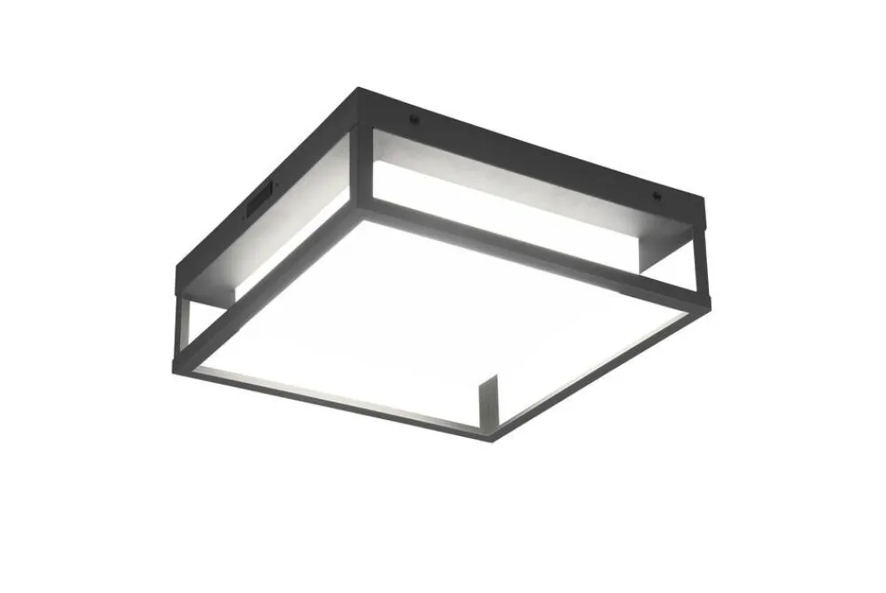 Trio Lighting Ulkovalaisimet|LED kattovalaisin Witham antrasiitti