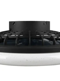 Trio Lighting Sisustusvalaisimet|LED tuuletinkattovalaisin Stralsund mattamusta