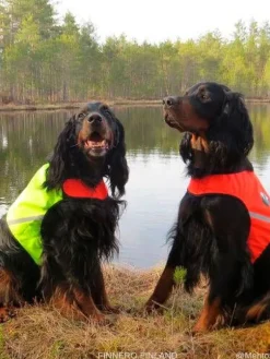 Finnero Koirat|UKKO Signal Vest Metsästysliivi, punainen/keltainen, M