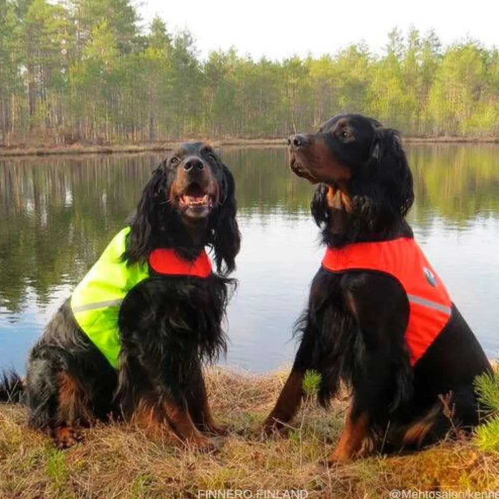 Finnero Koirat|UKKO Signal Vest Metsästysliivi, punainen/keltainen, S