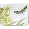 Amazonia Espressokupin alunen 14x11cm>Villeroy&Boch Discount