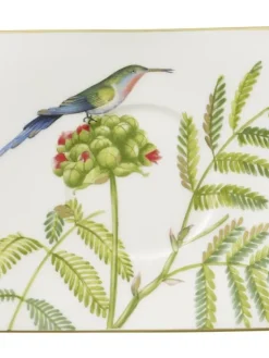 Villeroy&Boch Astiat|Amazonia Kahvikupin alunen 17x14cm