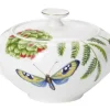 Villeroy&Boch Tarjoilu|Amazonia Sokerikko 0,35l