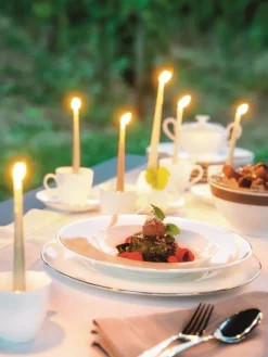Villeroy&Boch Astiat|Anmut Platinum Lautanen 27cm