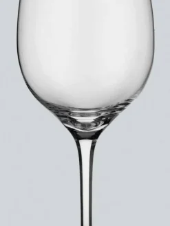 Entree Valkoviinilasi  0,3 l 4 kpl>Villeroy&Boch Discount