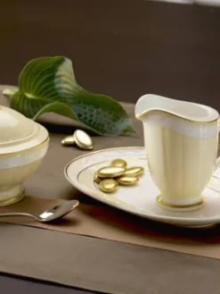 Villeroy&Boch Astiat|Ivoire Lautanen 22cm