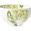 Villeroy&Boch Astiat|muut Amazonia kulho 13 cm