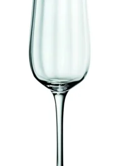 Villeroy&Boch Astiat|Rose Garden samppanjalasisetti 4 kpl 250 mm 0,12l