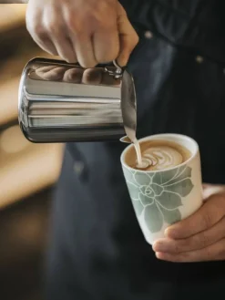 Villeroy&Boch Astiat|To Go muki Coffee 0,29l socculente